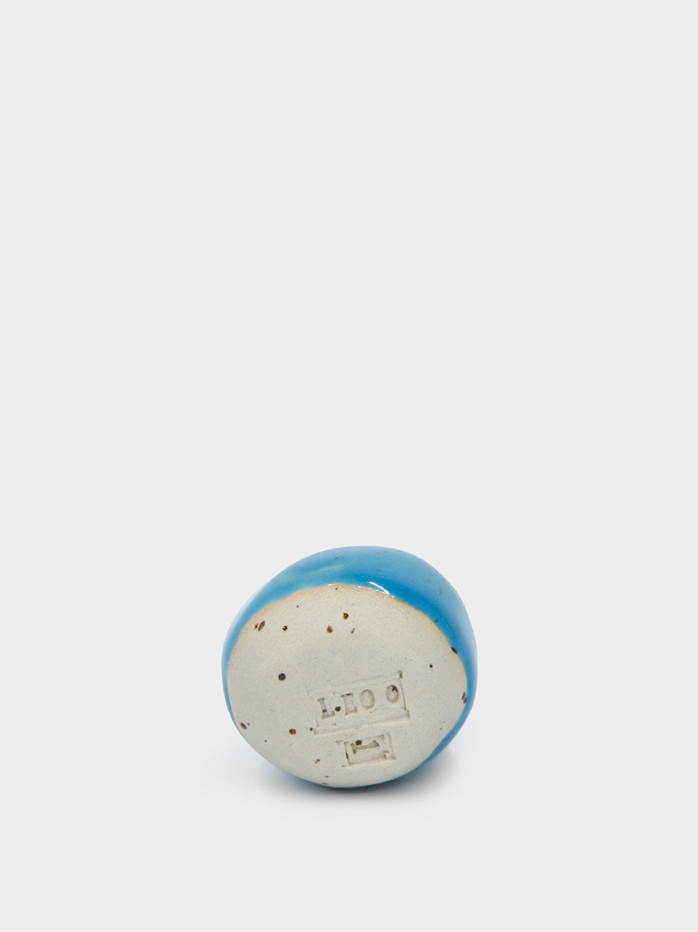 Veoo Blue Dodo