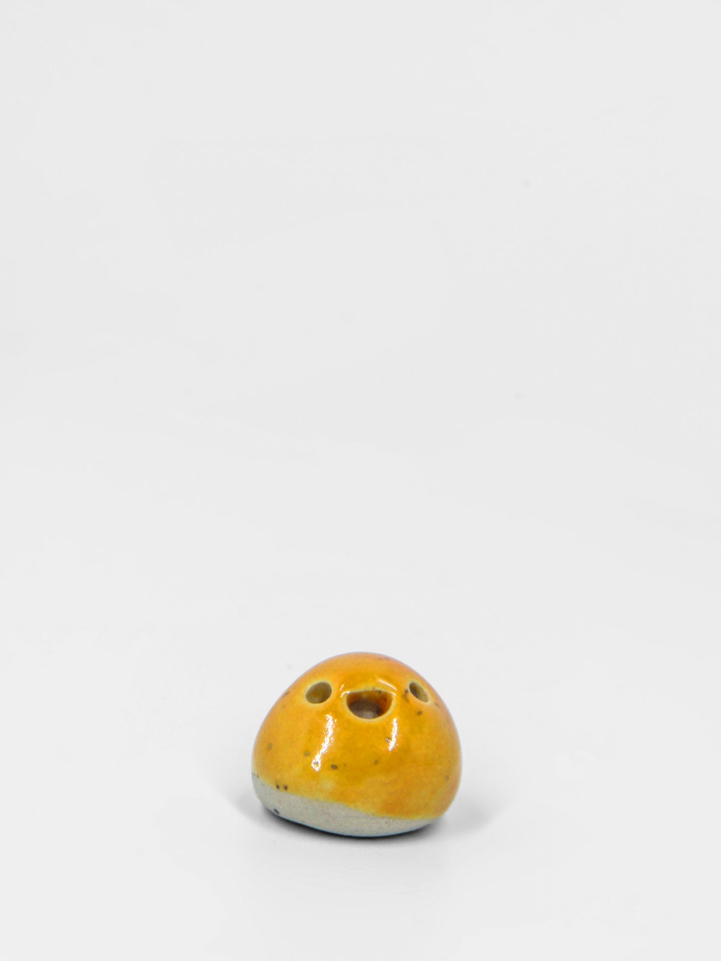 Orange Travel Dodo
