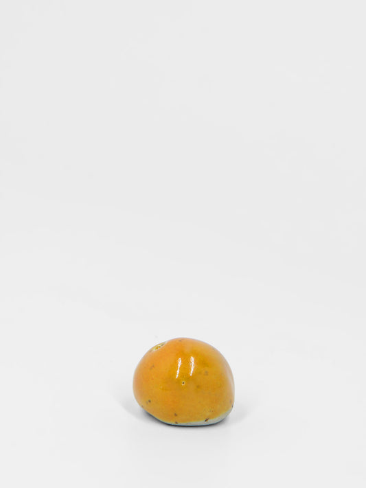 Orange Travel Dodo