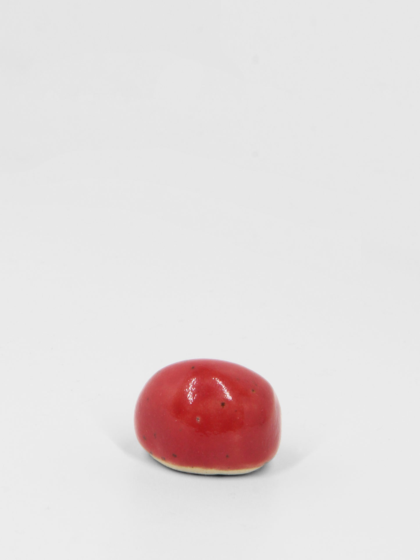 Tomato Travel Dodo