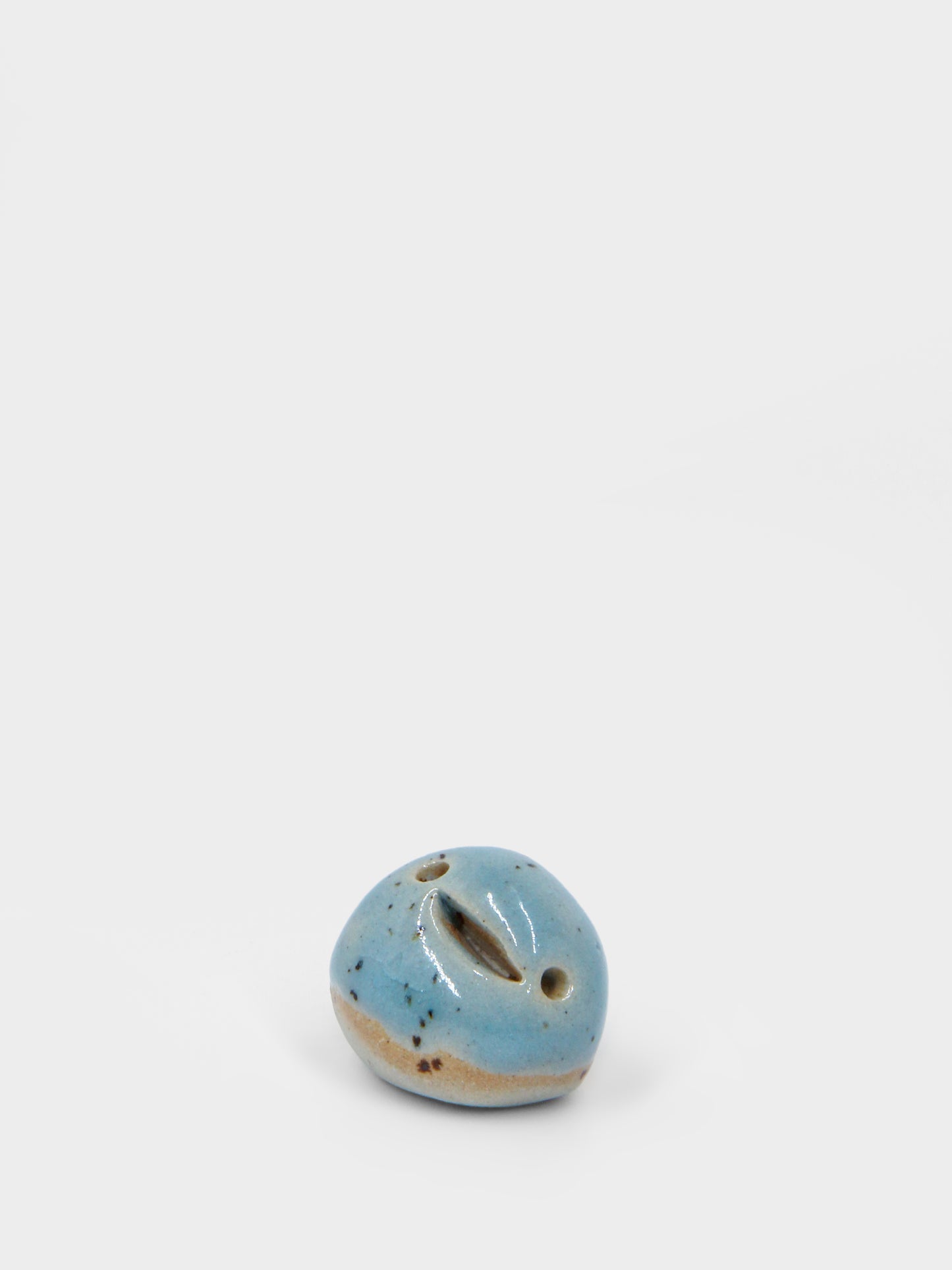 Ocean Travel Dodo